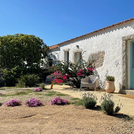 Massidda Country Retreat Villa Santa Teresa Gallura Exterior photo